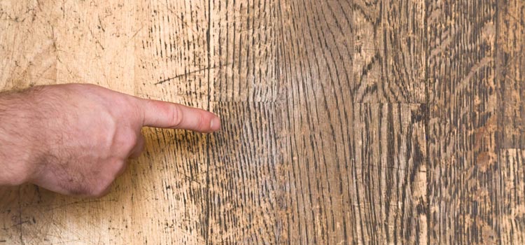Wood Door Scratch Repair in Silver Lakes